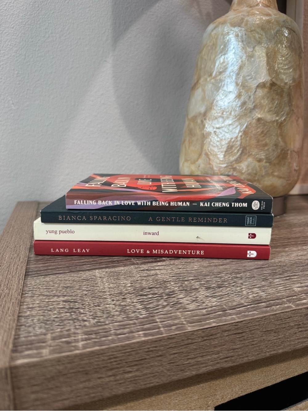 Modern Poetry & Self Healing Book Lot 4 Bianca Sparacino Yung Pueblo Lang Leav